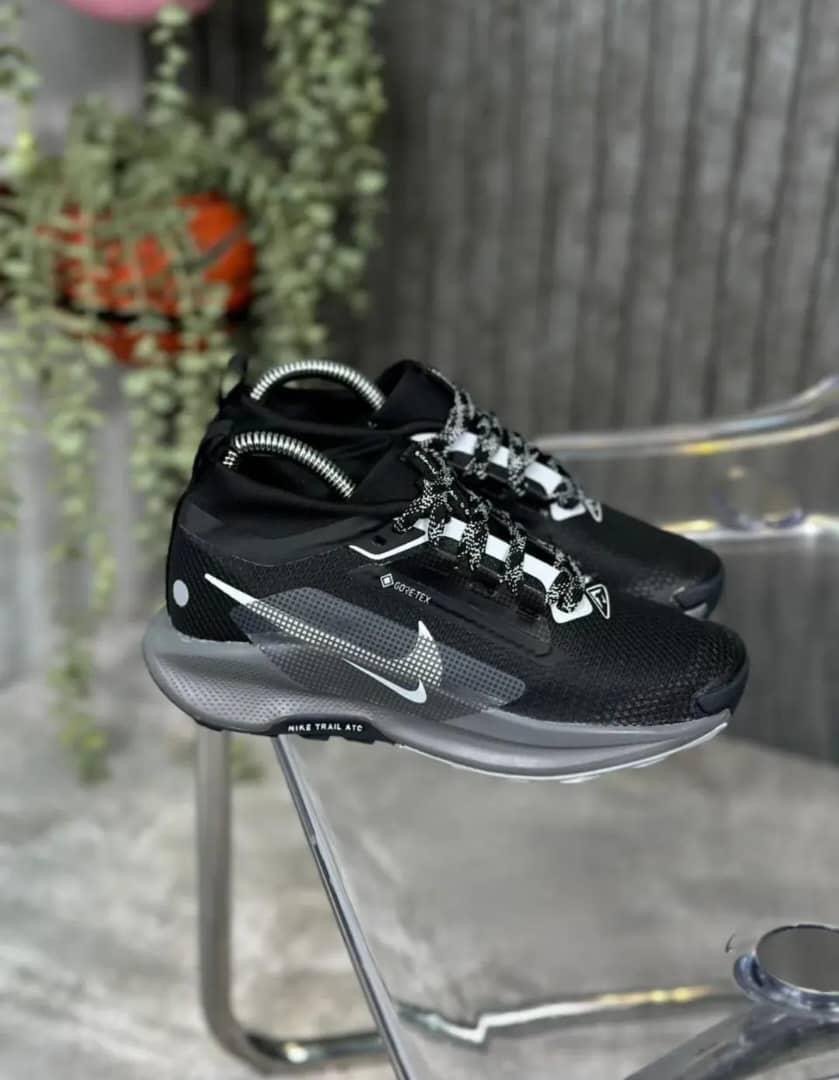 Vignette 4 : La Nike Pegasus Trail 5 GORE-TEX