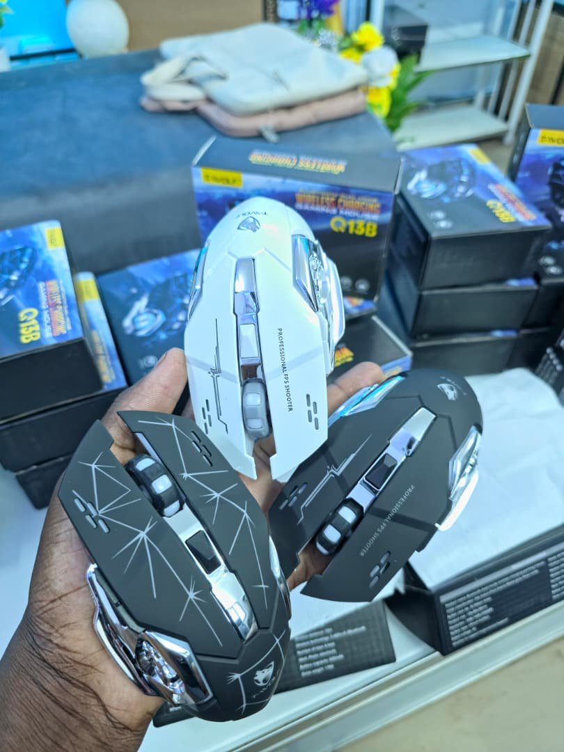 Vignette 5 : Souris sans fil Gamer