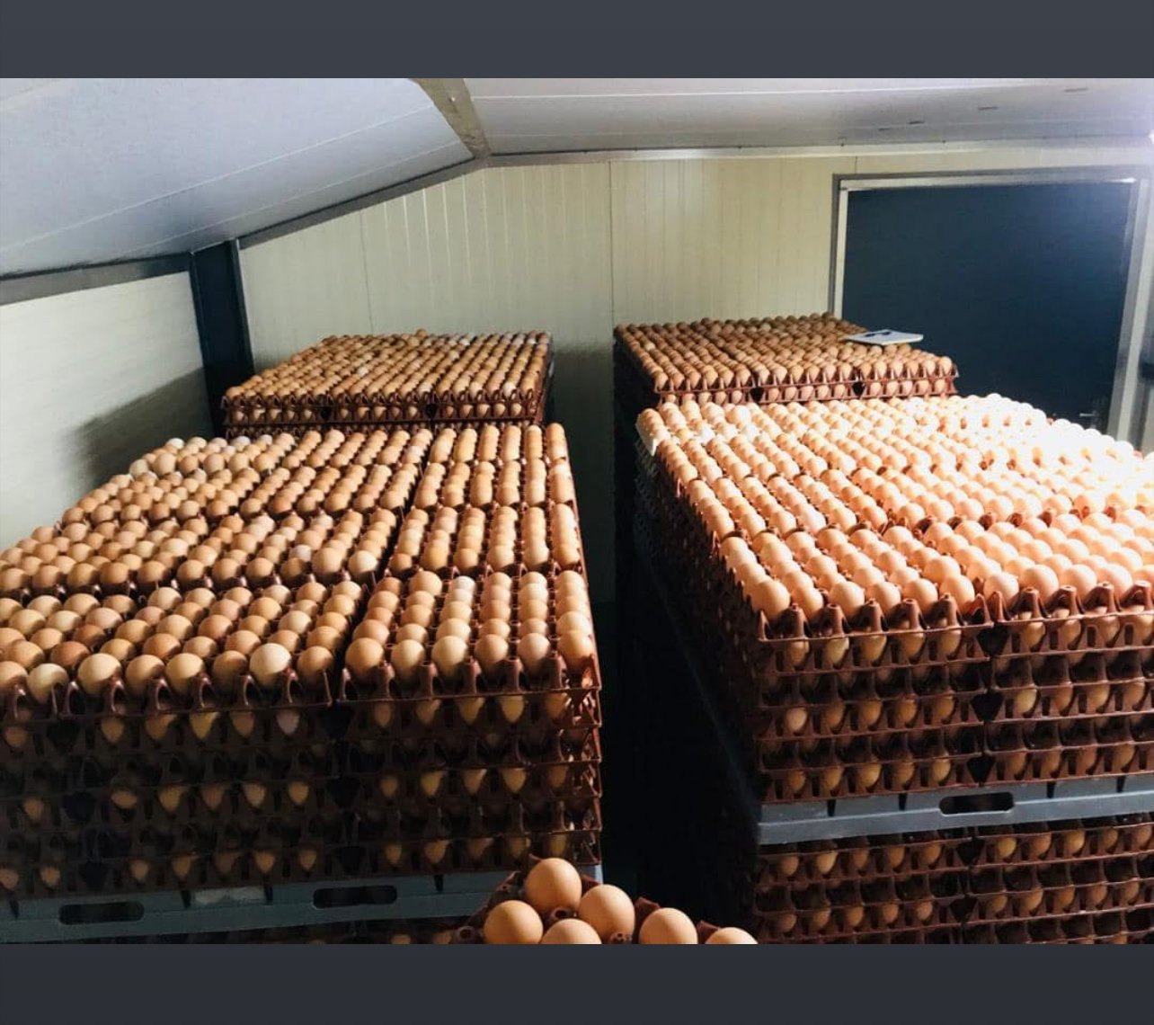 Vignette 4 : PLATEAU D’ŒUFS