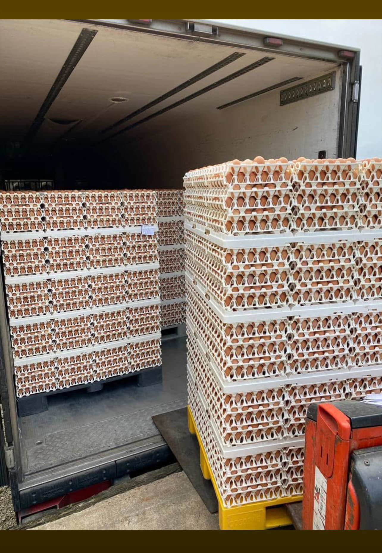 Vignette 2 : PLATEAU  D’ŒUFS