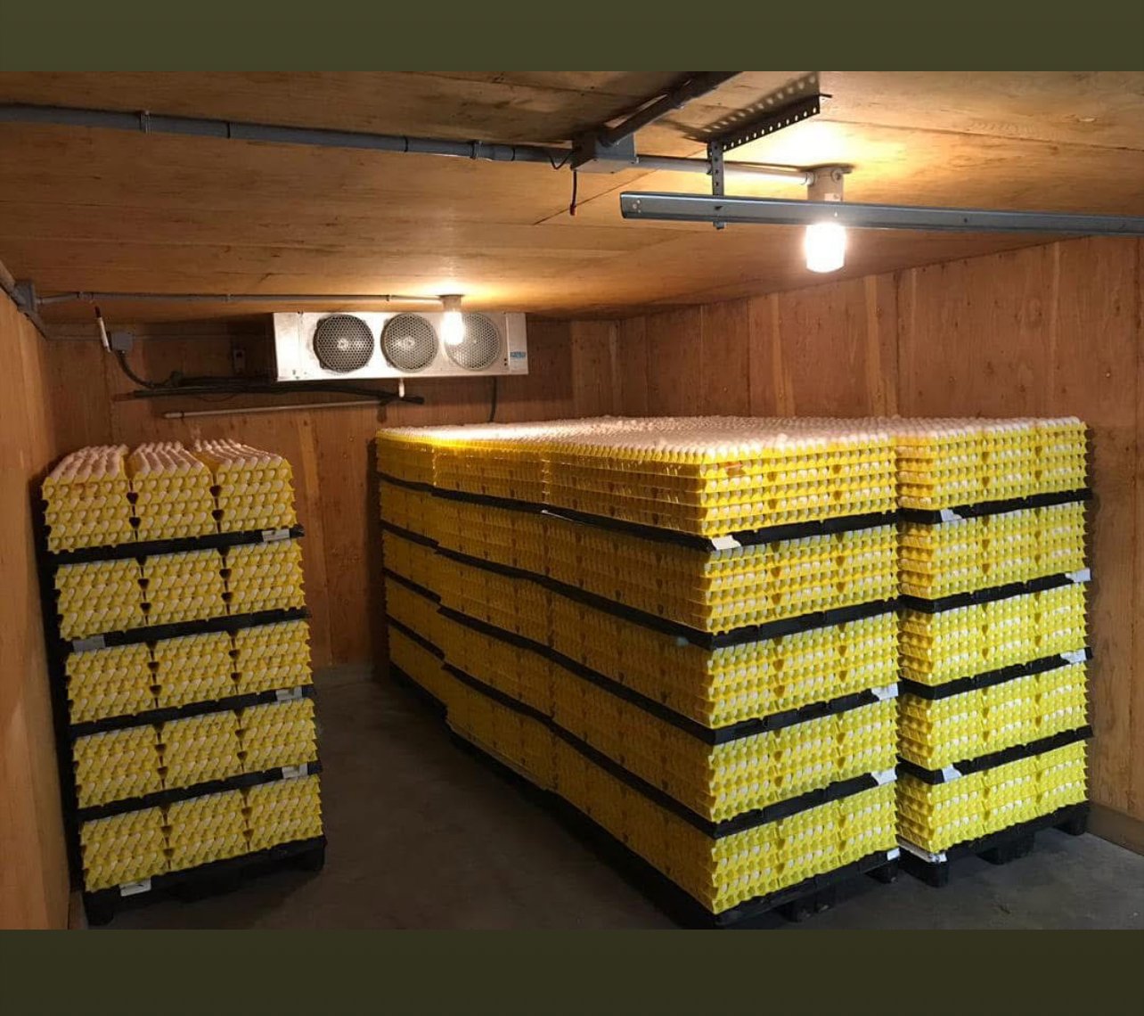 Vignette 5 : PLATEAU  D’ŒUFS